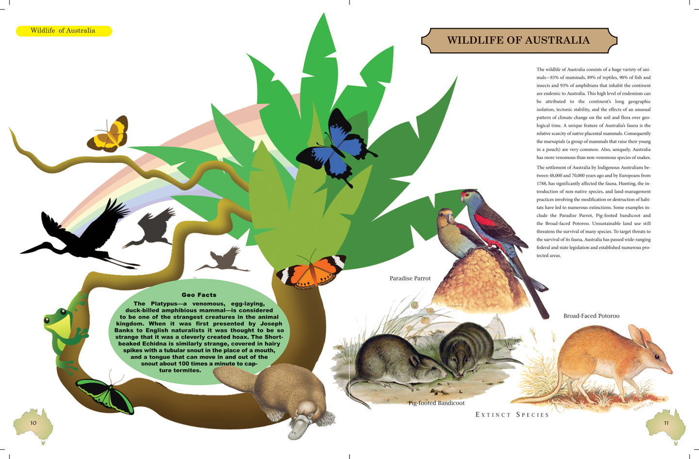 Wildlife of Australia