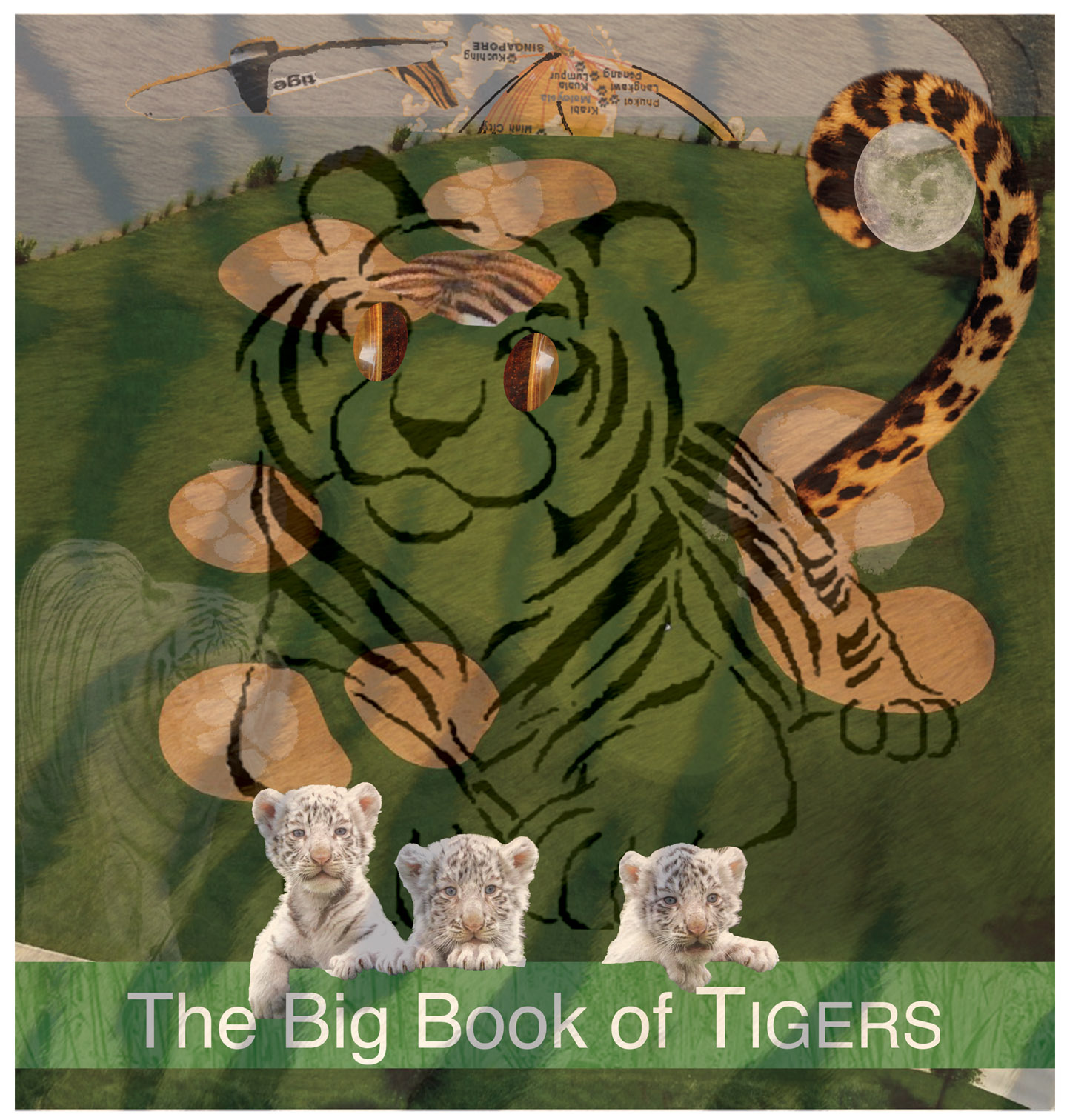 The Big Book of Tigers